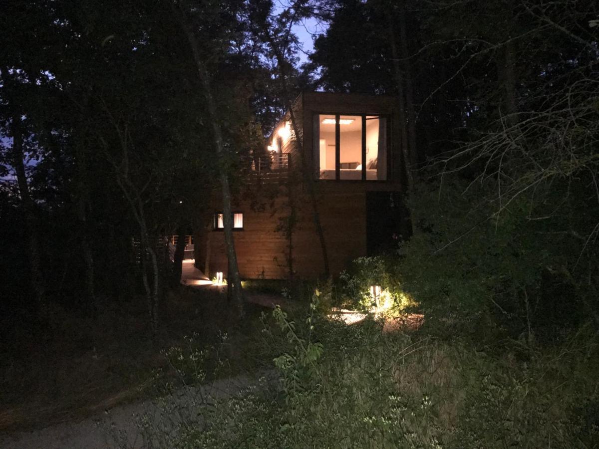 Les Cocons De L'Illon Bed and Breakfast Ville-sur-Illon Exterior foto